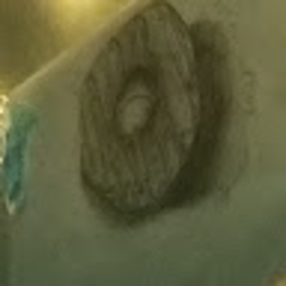 mylashark13